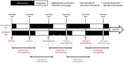 Biomechanical Mechanisms of Improved Balance Recovery to Repeated Backward Slips Simulated by Treadmill Belt Accelerations in Young and Older Adults